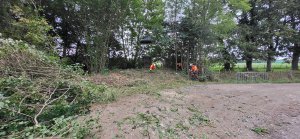 Abattage arbres Pont des Laboureurs